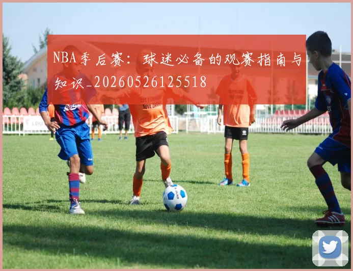 NBA季后赛：球迷必备的观赛指南与知识_20260526125518
