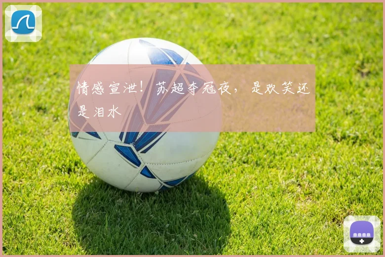 情感宣泄！苏超夺冠夜，是欢笑还是泪水