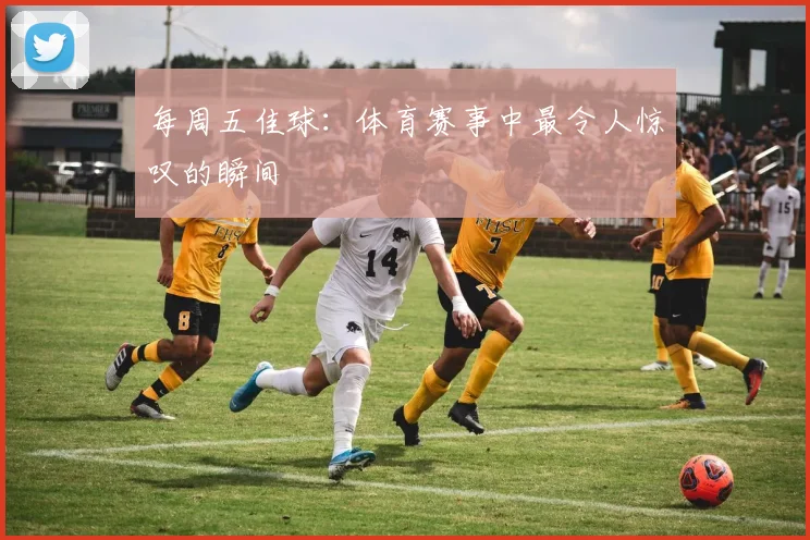 每周五佳球：体育赛事中最令人惊叹的瞬间
